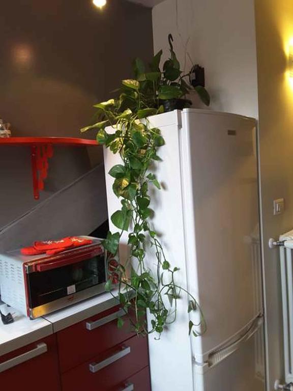 Nonno Pinin Apartman Torino Kültér fotó
